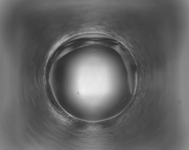 X0000081600248200701151346