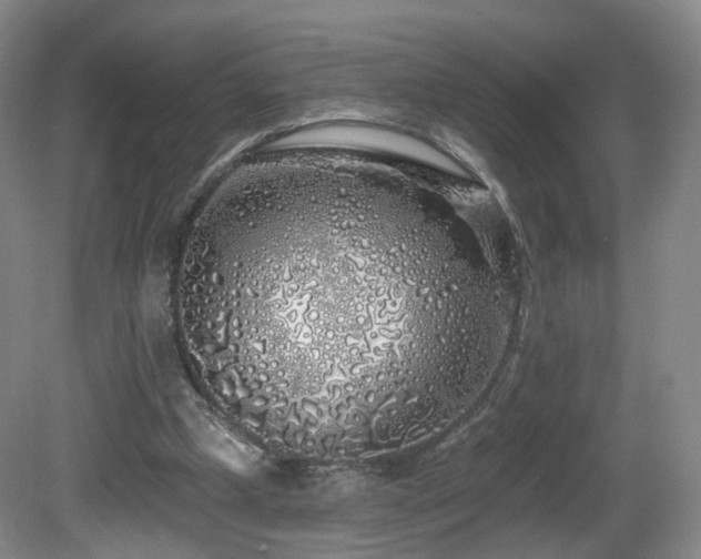 X0000081600249200701151346