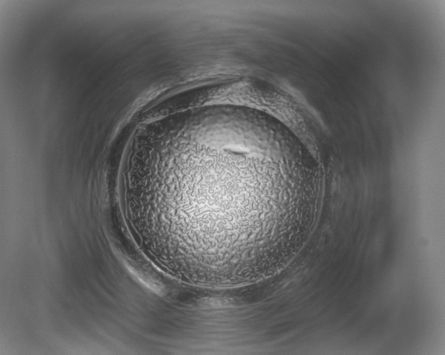 X0000081600250200701151346