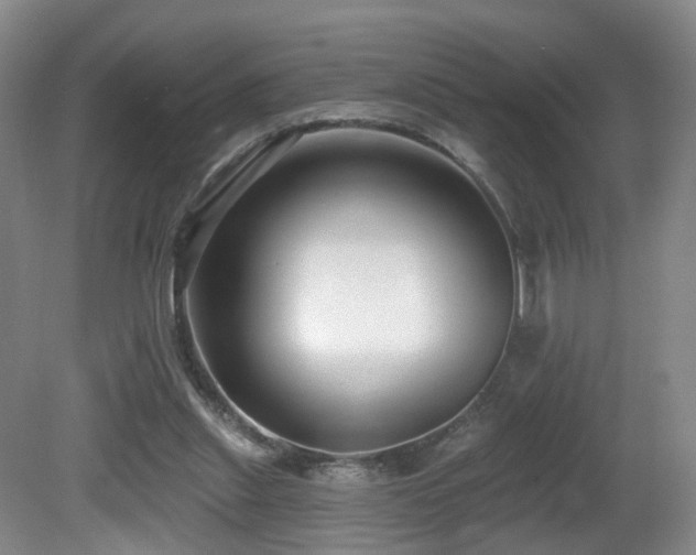 X0000081600253200701151346