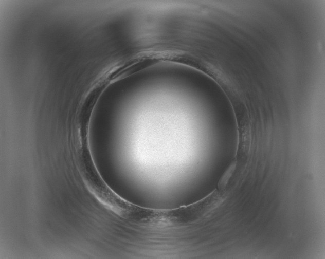 X0000081600254200701151346