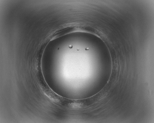 X0000081600255200701151346