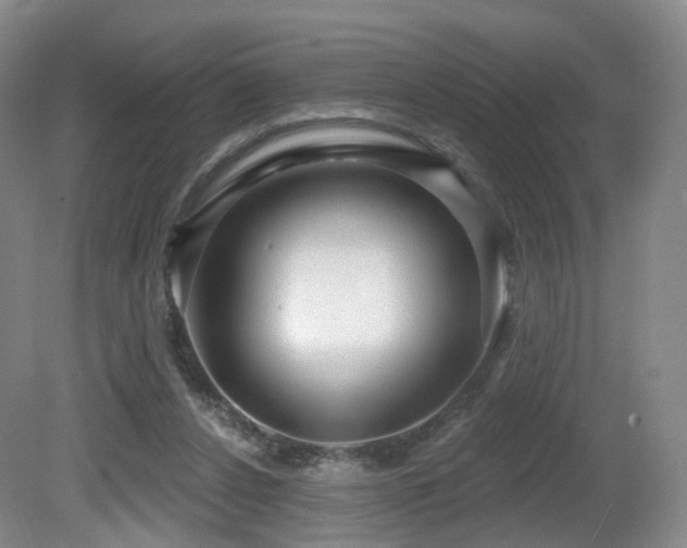 X0000081600256200701151346