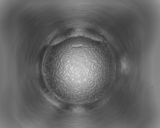 X0000081600258200701151347