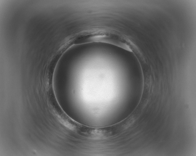 X0000081600261200701151347