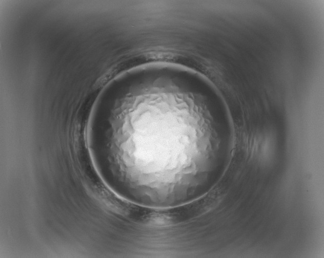 X0000081600263200701151347