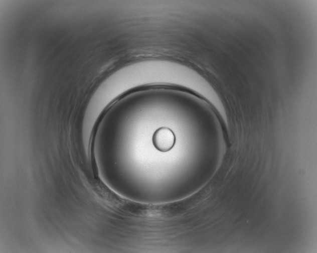 X0000081600264200701151347