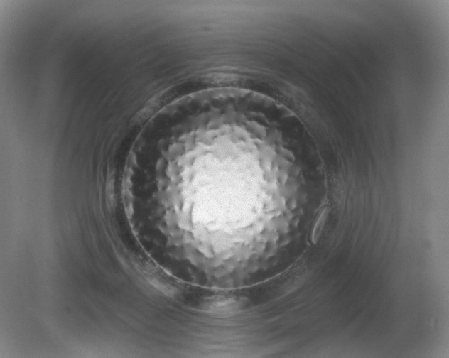 X0000081600267200701151347