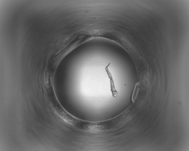 X0000081600268200701151347