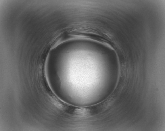 X0000081600269200701151347