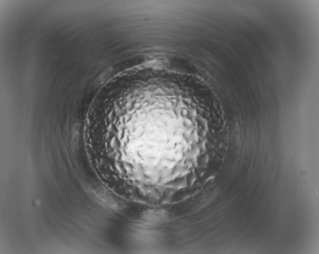 X0000081600271200701151347