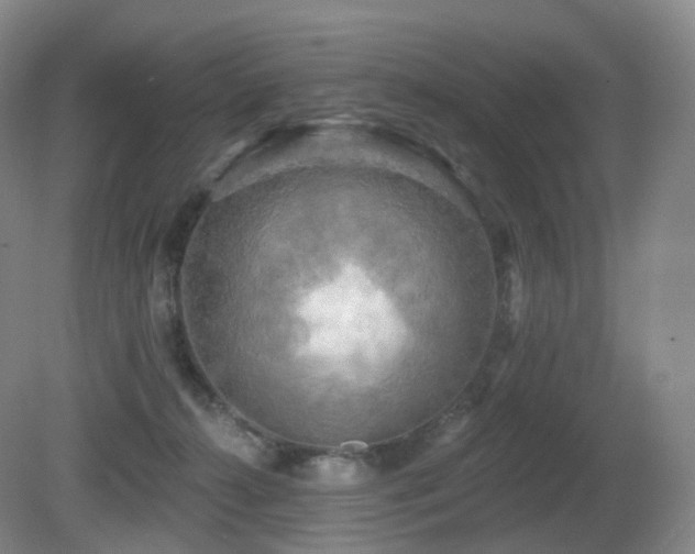 X0000081600272200701151347