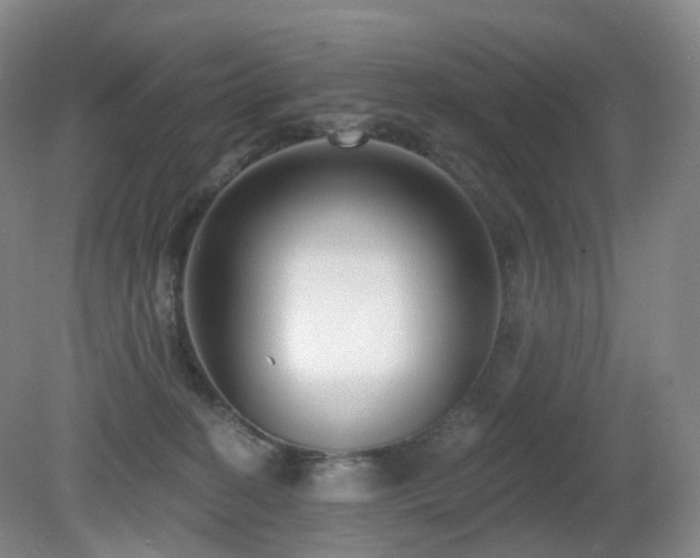 X0000081600274200701151347