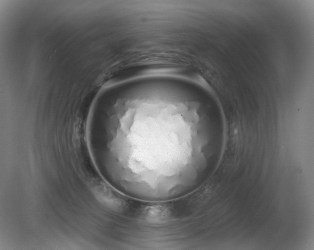 X0000081600275200701151347