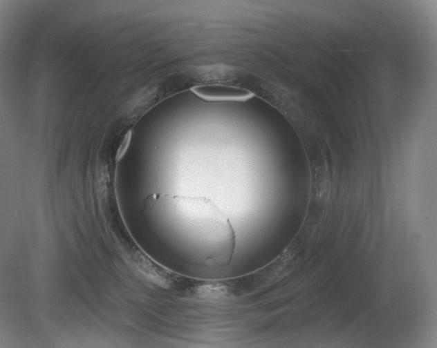 X0000081600279200701151347