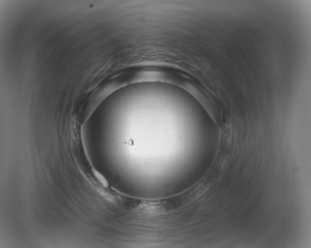 X0000081600280200701151347