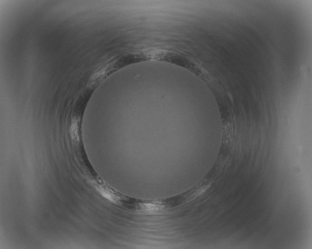 X0000081600286200701151347