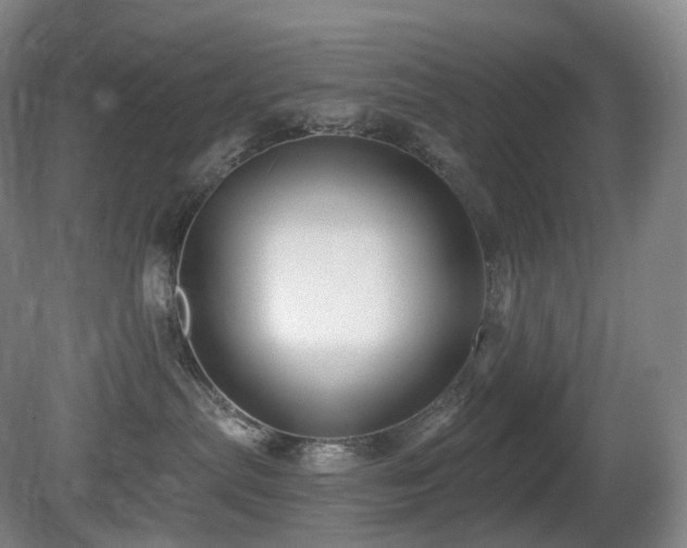 X0000081600287200701151347