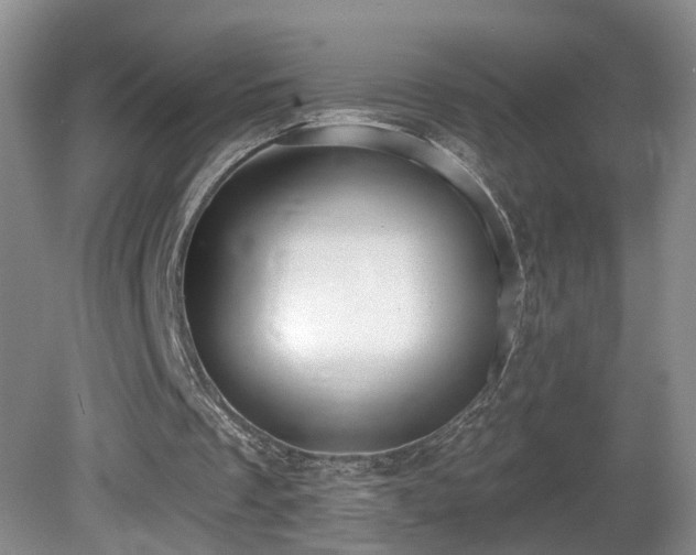 X0000081600289200701151346