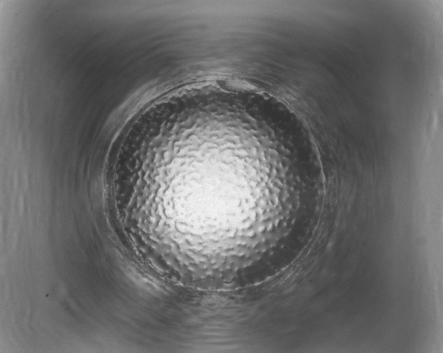 X0000081600290200701151346