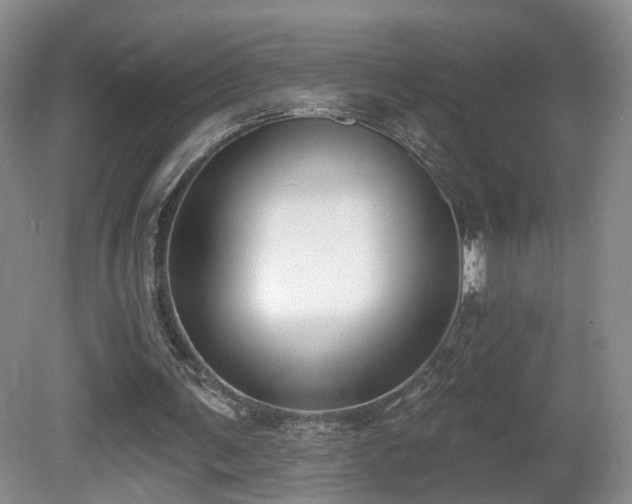 X0000081600291200701151346