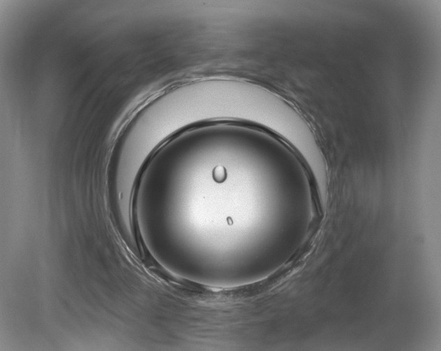 X0000081600293200701151346