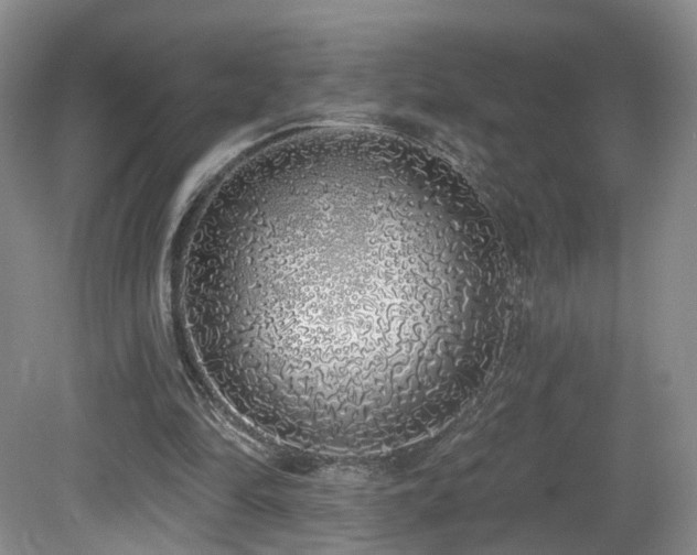 X0000081600294200701151346