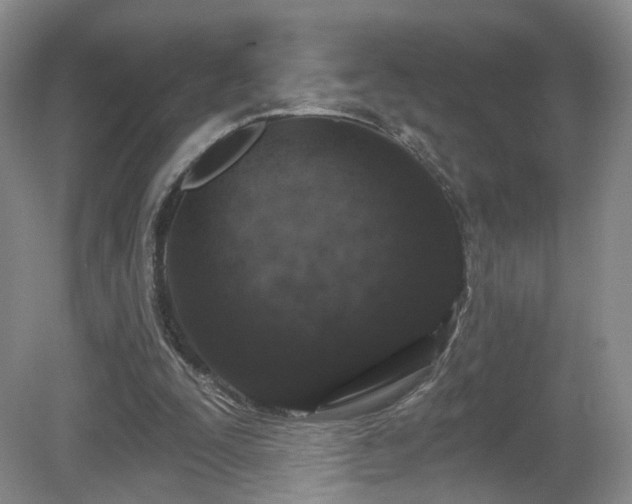 X0000081600295200701151346