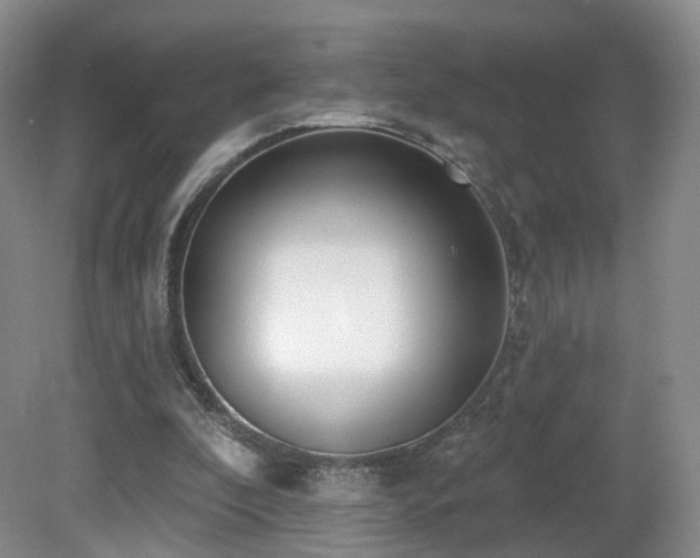 X0000081600296200701151346