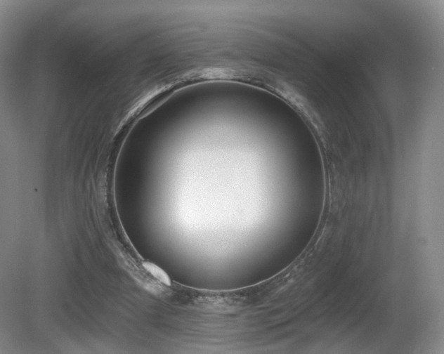 X0000081600297200701151346