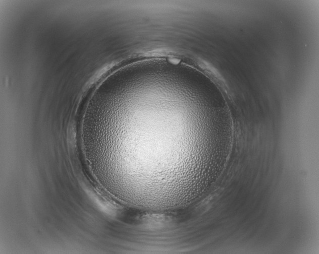 X0000081600298200701151346