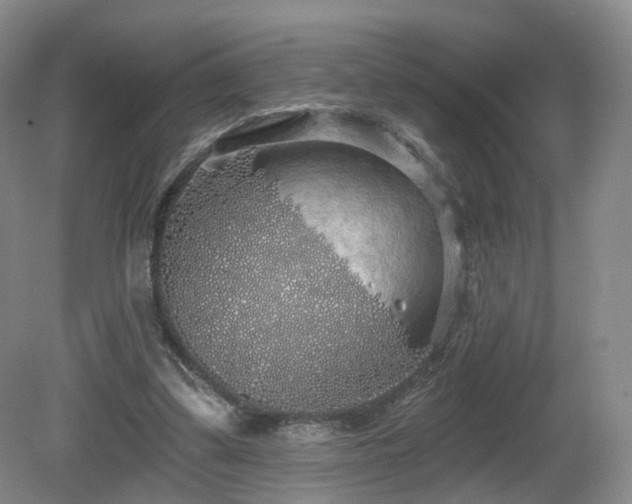 X0000081600299200701151346