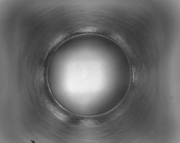 X0000081600300200701151346