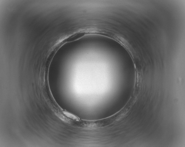 X0000081600301200701151346