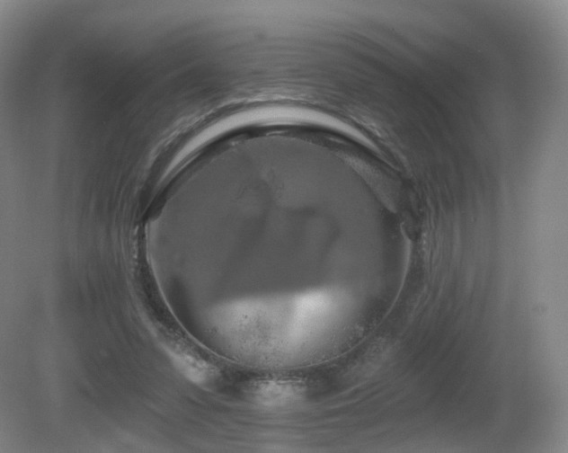 X0000081600303200701151346