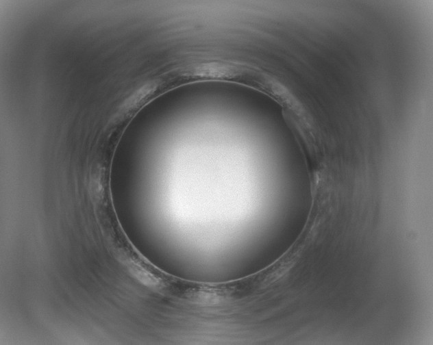 X0000081600305200701151346