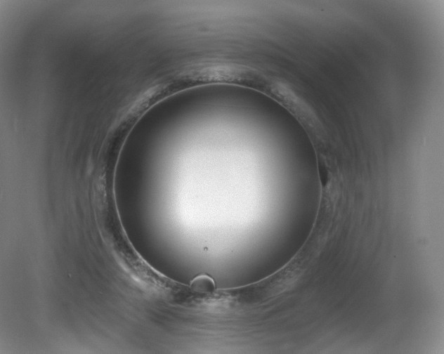 X0000081600306200701151346