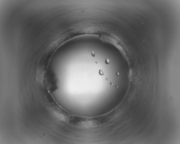 X0000081600307200701151346