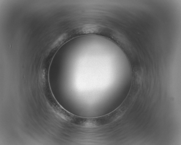 X0000081600308200701151346