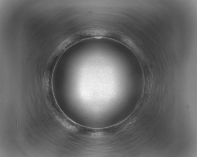 X0000081600309200701151346