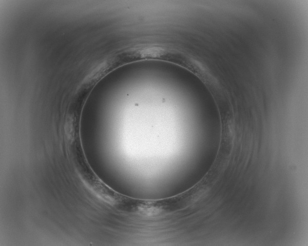 X0000081600311200701151346