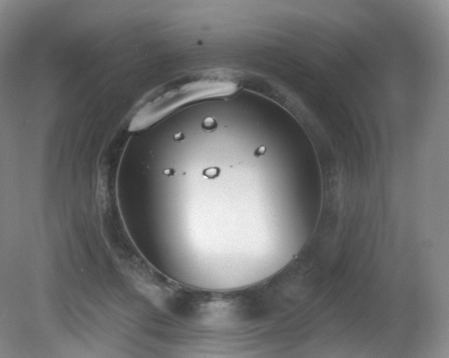 X0000081600312200701151346