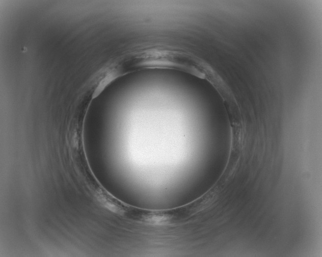 X0000081600313200701151346