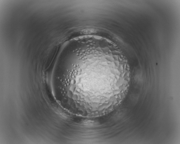 X0000081600315200701151346