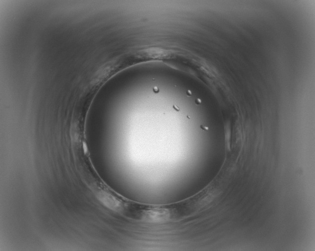 X0000081600317200701151346