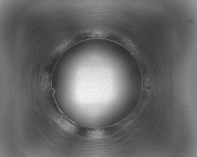 X0000081600318200701151346