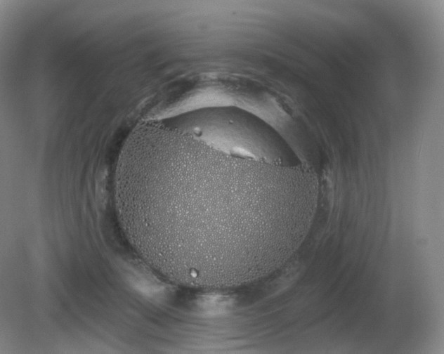 X0000081600319200701151346