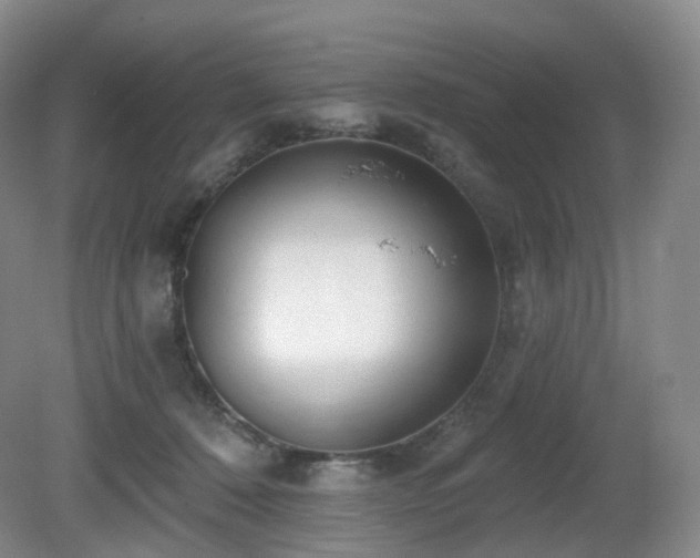 X0000081600320200701151346