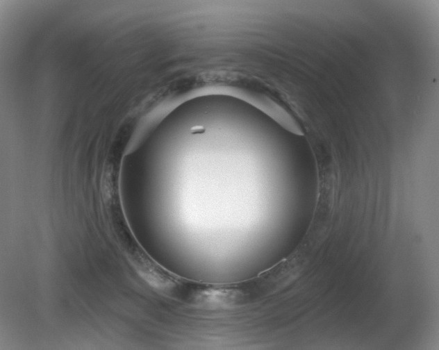 X0000081600323200701151346