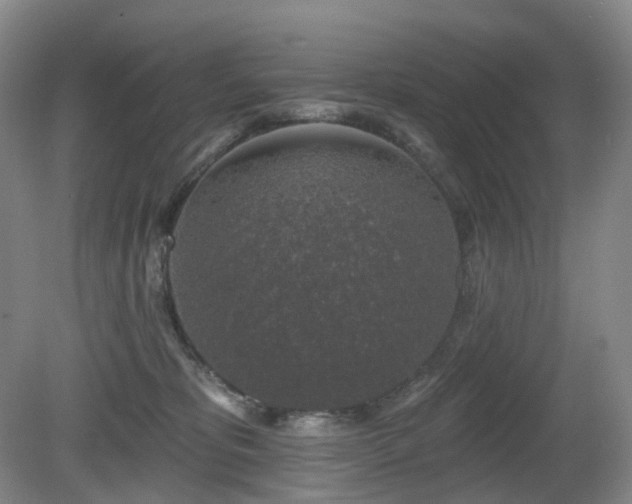 X0000081600325200701151346